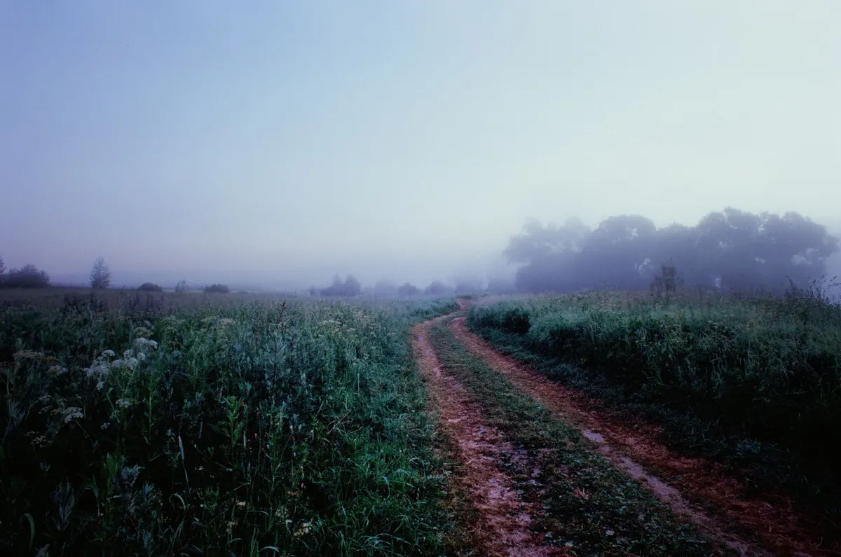 A Seasonal Guide to UK Fog: Autumn and Winter Visibility