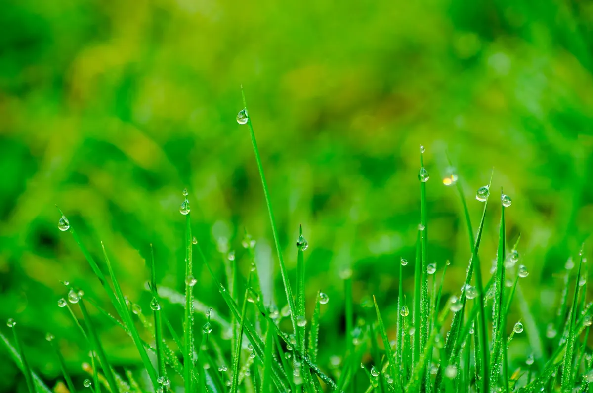 Common Mistakes When Recording Rainfall at Home