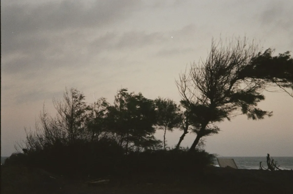 Why UK Wind Gusts Feel Stronger Than Forecast: Common Mistakes to Avoid